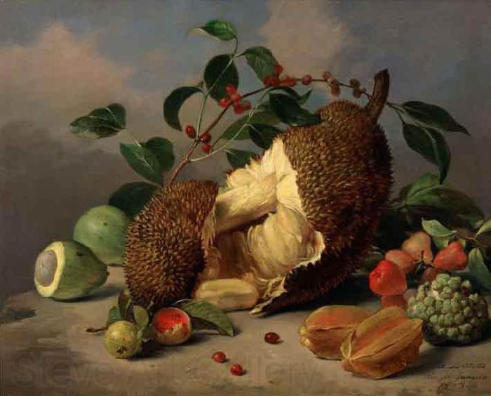 unknow artist Still life with fruit